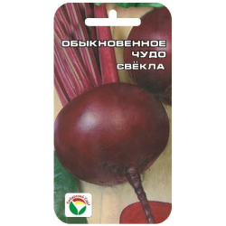 Свёкла Обыкновенное чудо