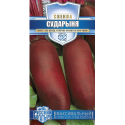 Свекла Сударыня 