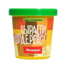 Мандарин  (сувенирный семенной материал)