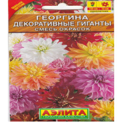 Георгина Декоративные гиганты смесь окрасок