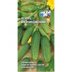Огурец Вязниковский 37