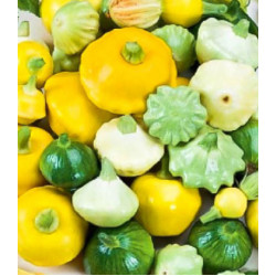 Патиссон Веселые друзья