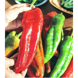 Перец сладкий Банановый десерт