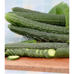 Огурец Пекинский вкусный F1