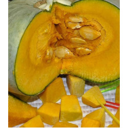 Тыква Конфетка F1