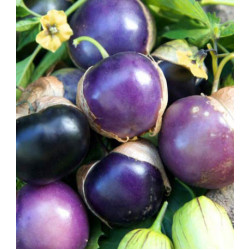 Физалис Сливовый джем