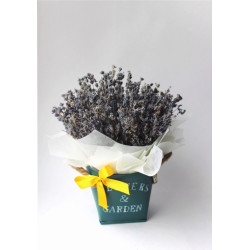 Интерьерное кашпо из лаванды (5 пучков)