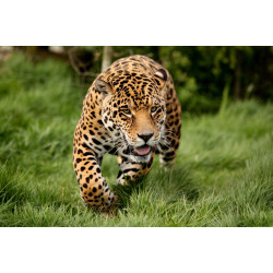 Цифровая печать фотографий