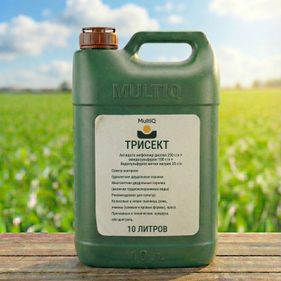 ТРИСЕКТ (10 литров)