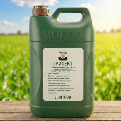 ТРИСЕКТ (5 литров)